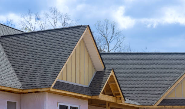 Skylights in Colonial Heights, TN