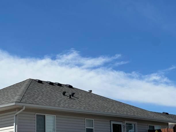 Best Commercial Roofing Services  in Colonial Heights, TN